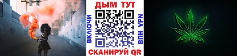 МЕФ Аргун
