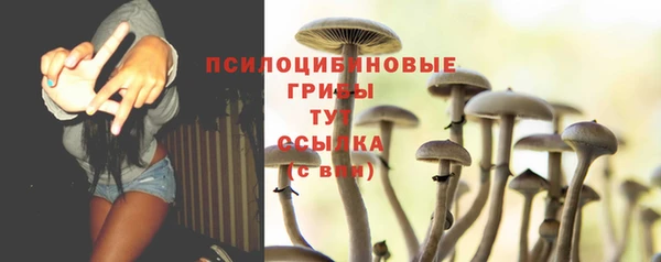 прущие крисы Алексеевка